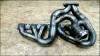 BMW E30 TURBO KOLEKTOR MANIFOLD k64 spec gt30 gt35.30 gt3582r